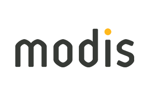 Logo Sponsor: Modis Euro Engineering